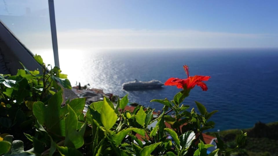 Amzing Ocean views