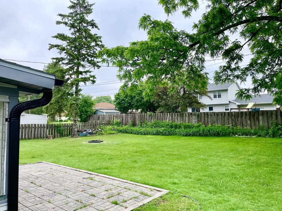 Back yard