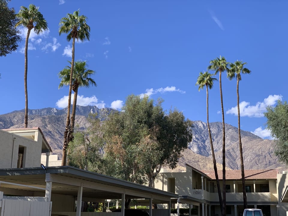 Assigned covered parking and extra parking areas for guests