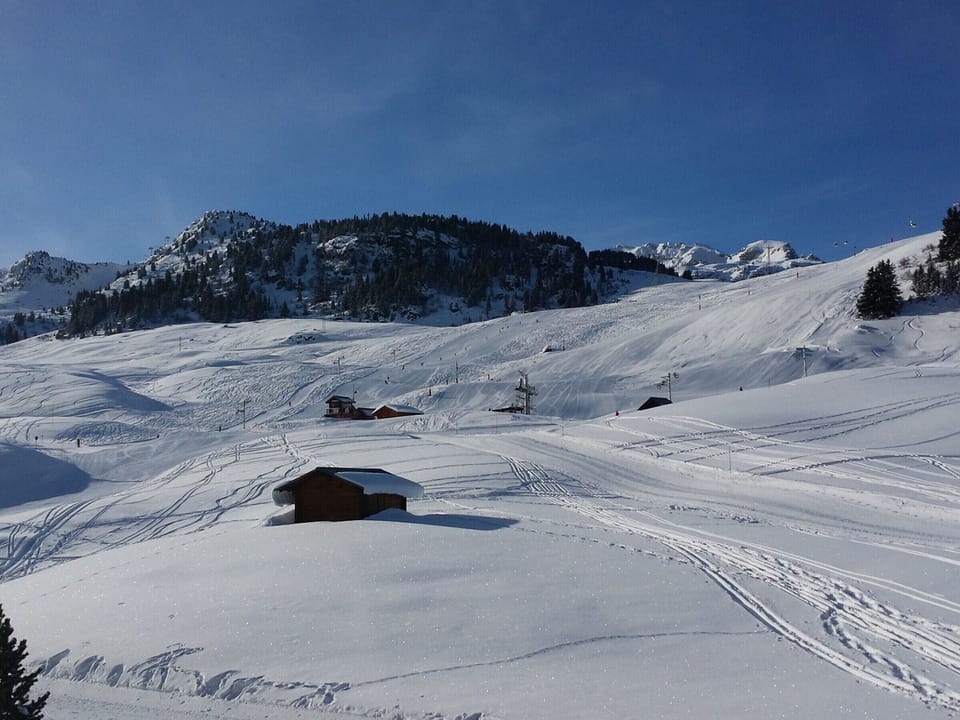 Snow and ski sports