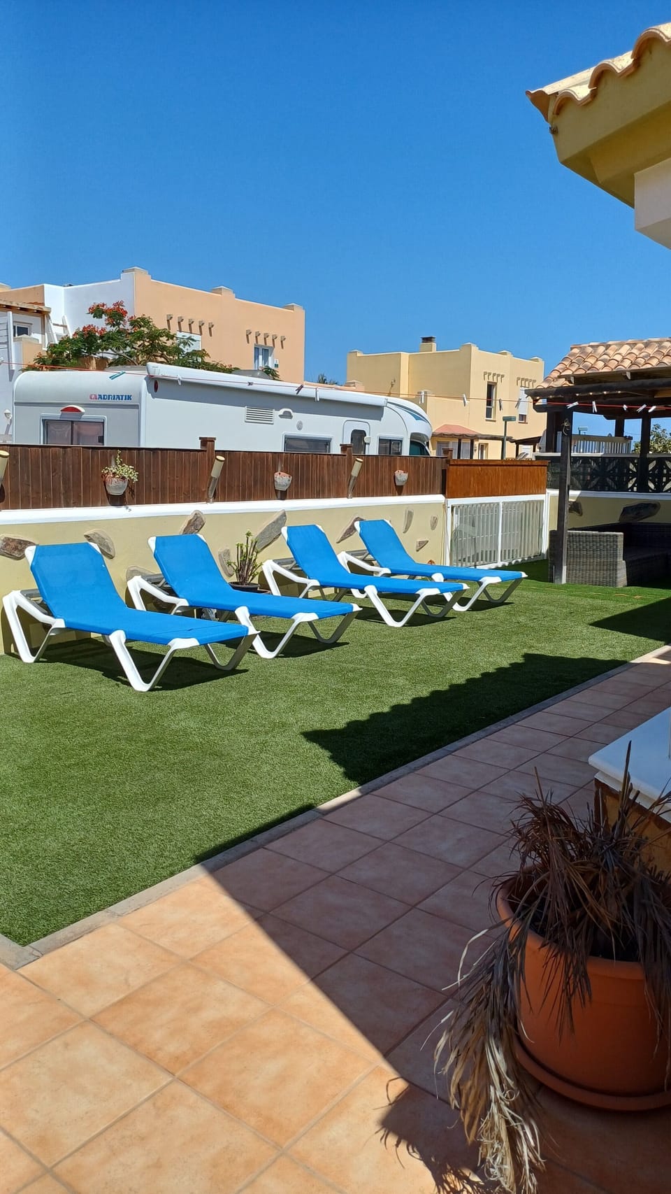 Sunbeds on front garden