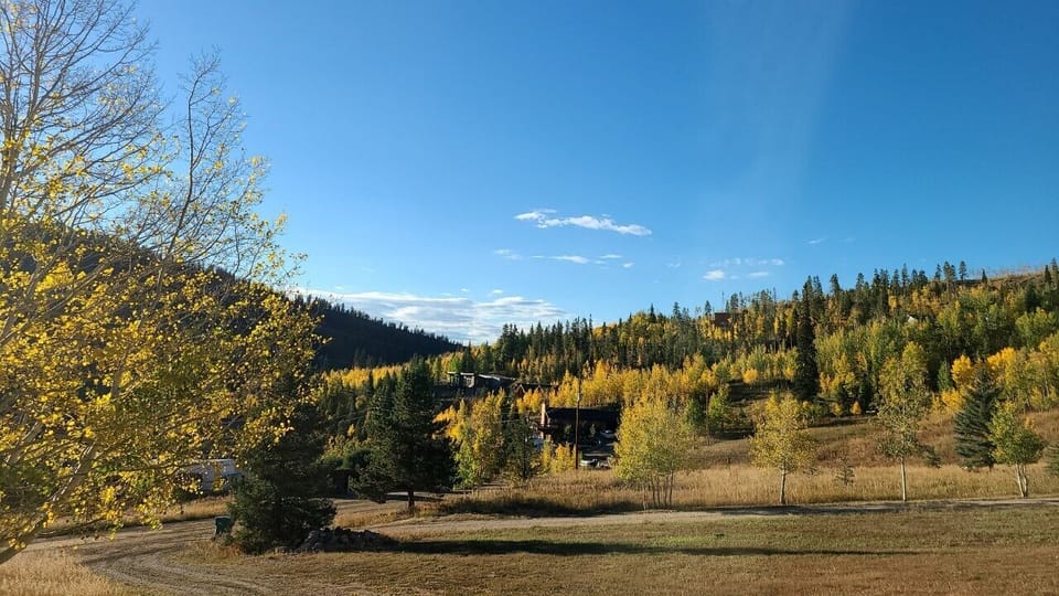 summer view to south