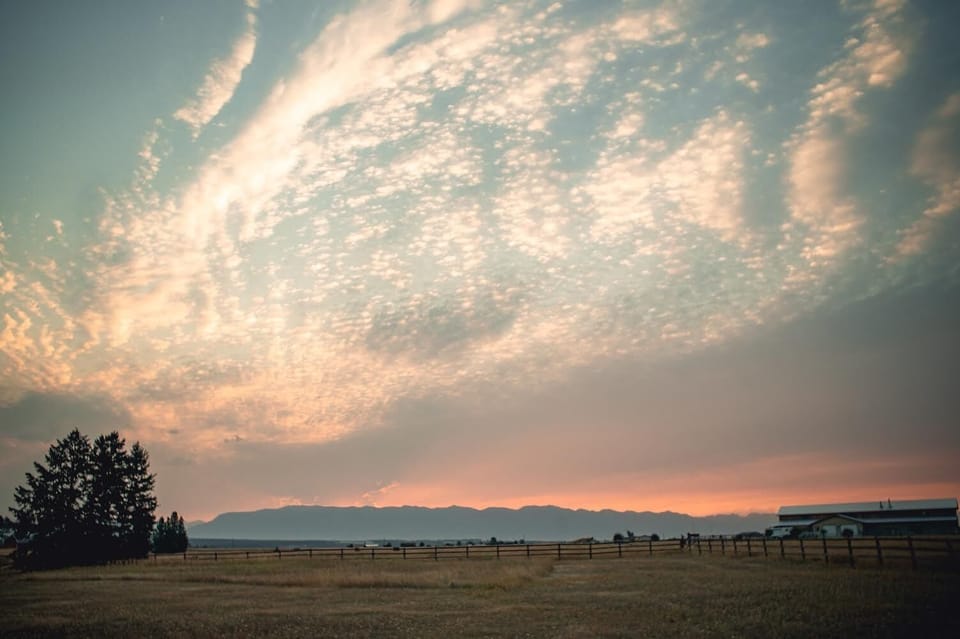 View from the front porch