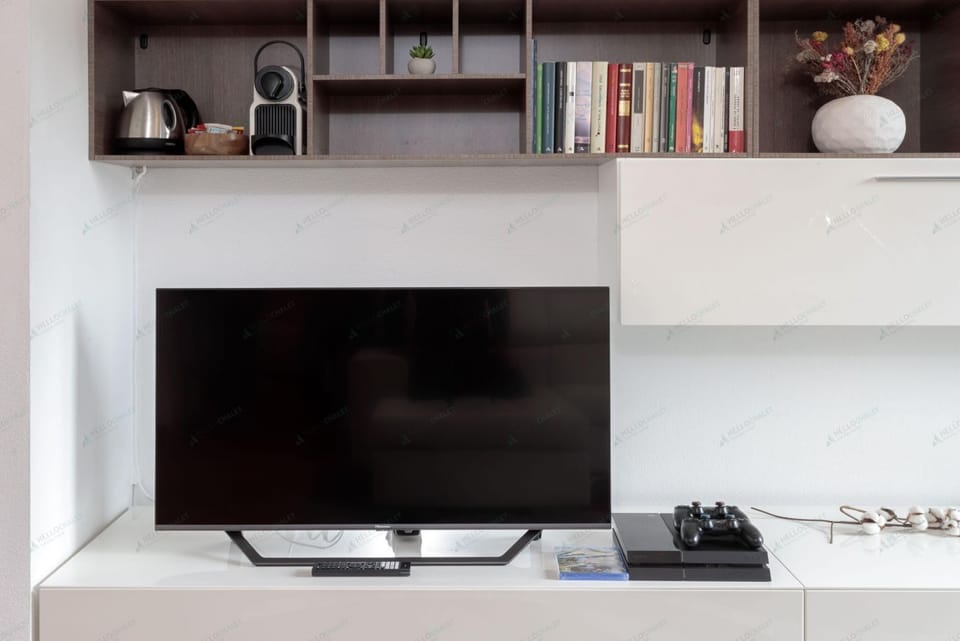 Television