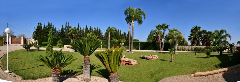 Autumn, Garden, Spring, Summer