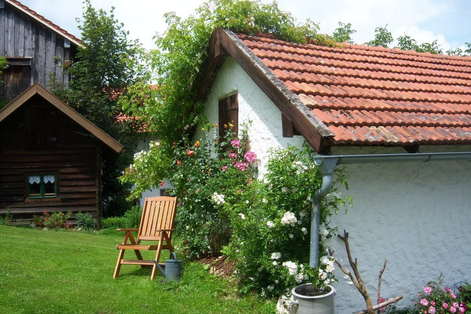 Garden [summer]