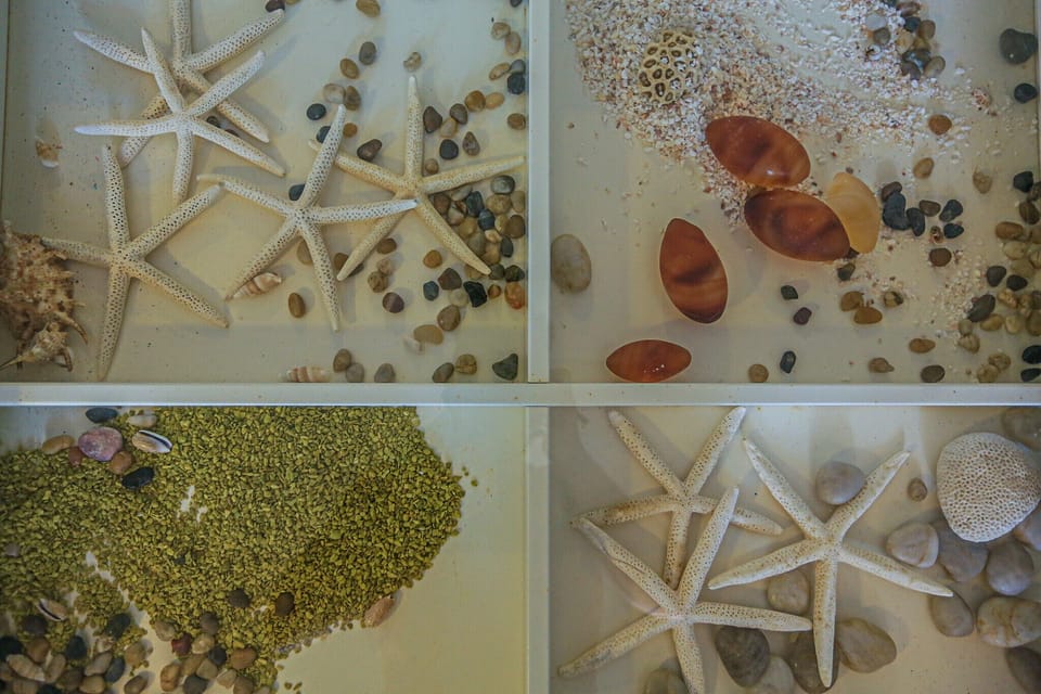 Miscellaneous