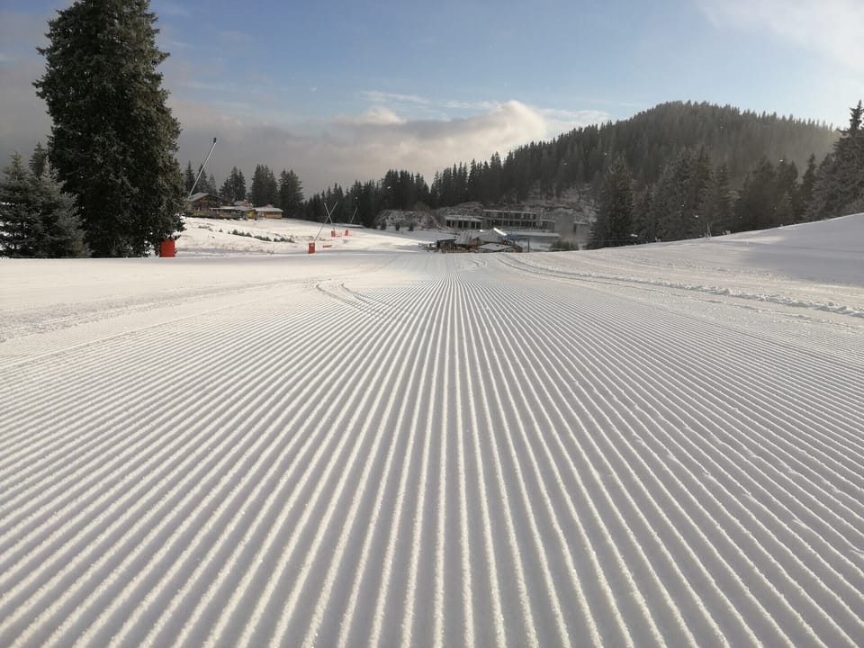 Snow and ski sports