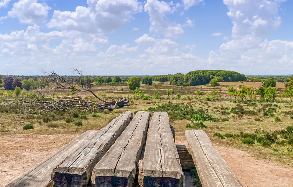 area