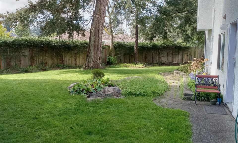 Private Spacious Fenced Backyard (view #1)