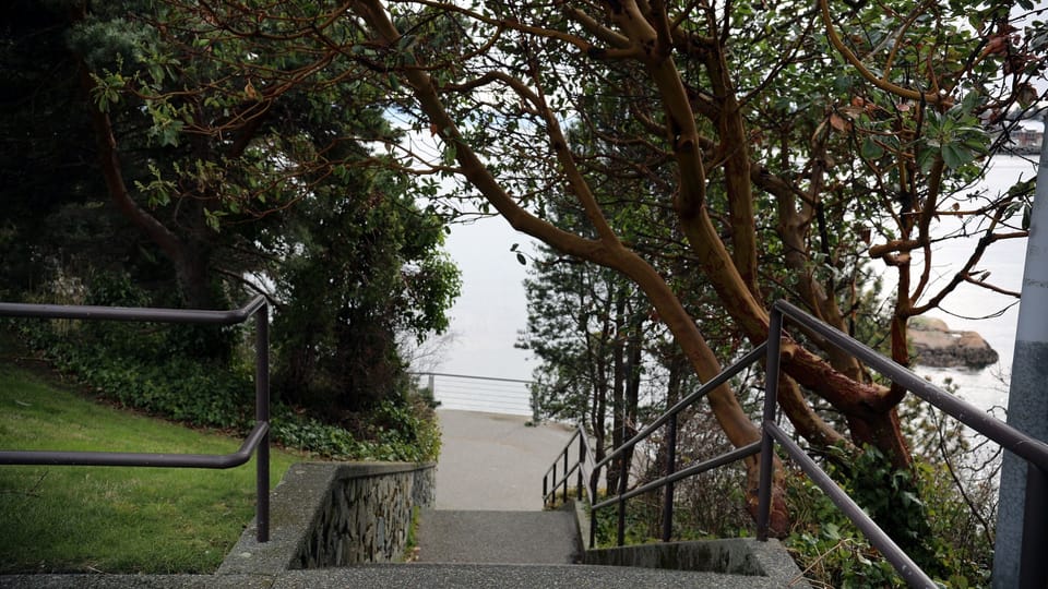 Steps from the front door - Ocean side