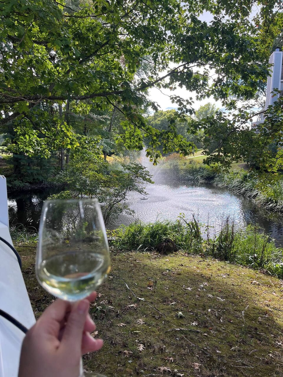 POV: Glass of wine on your private deck overlooking the koi pond water feature.  Heaven.