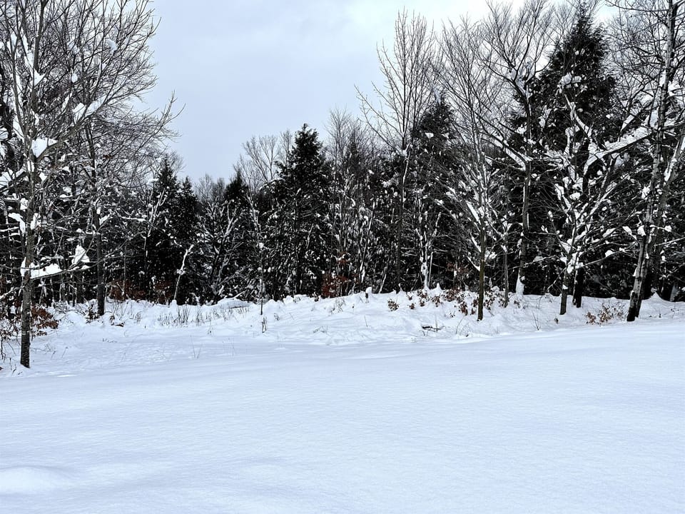 Every season is beautiful — from fall colors to fresh snow
