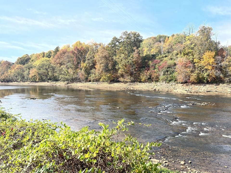 Murphy River Walk View