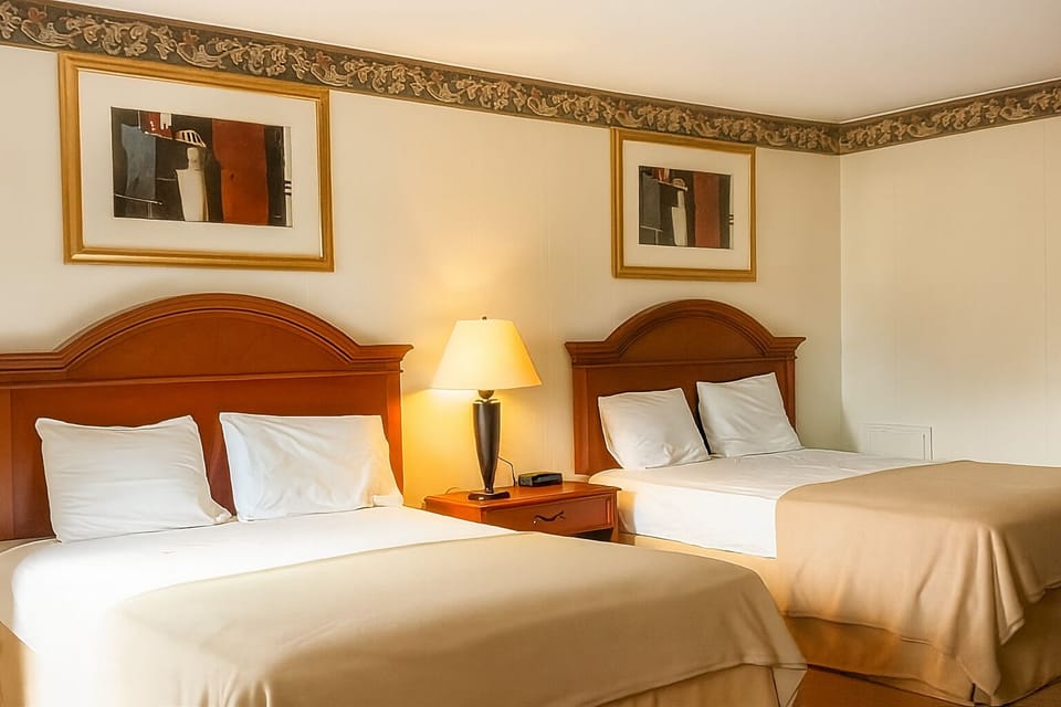 Relax together in a bright double-bed room with warm lighting.