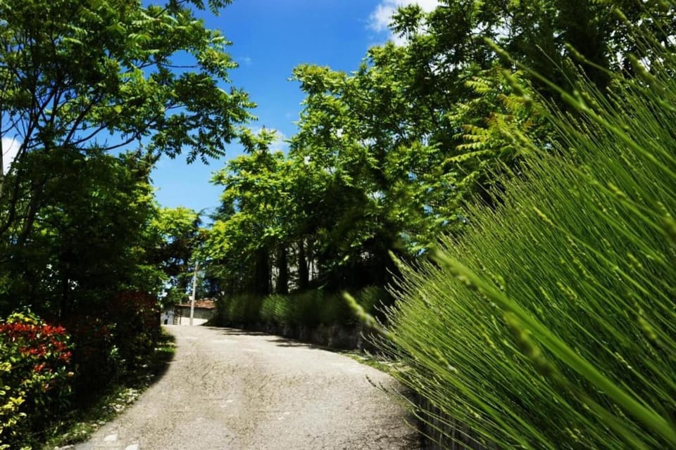 Region [summer] (>5 km)