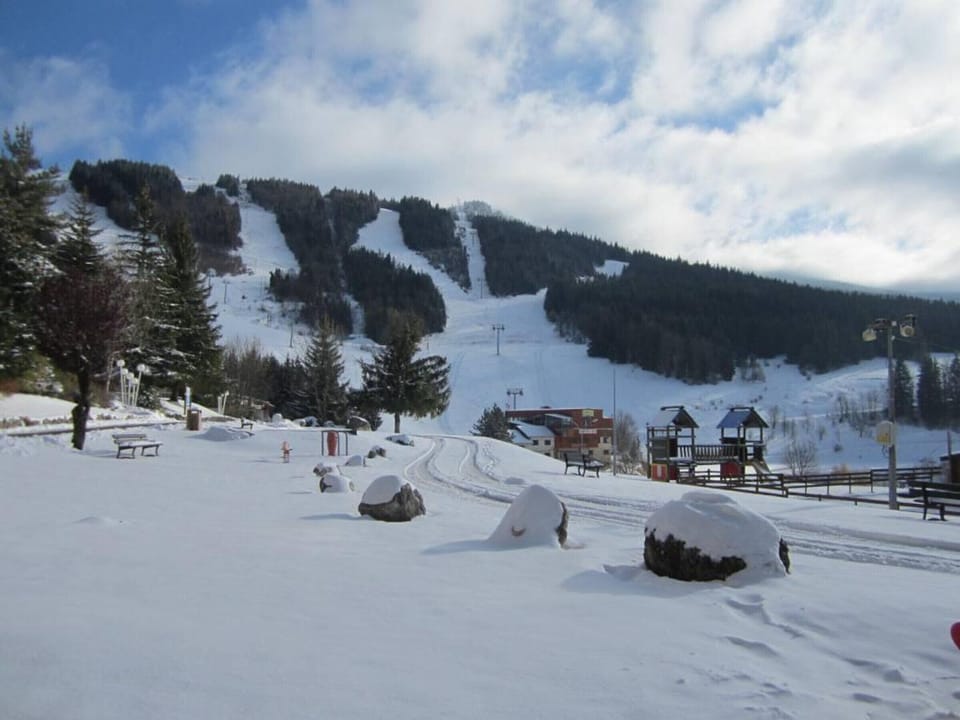 Snow and ski sports