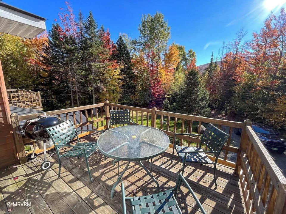 Patio furniture on back deck