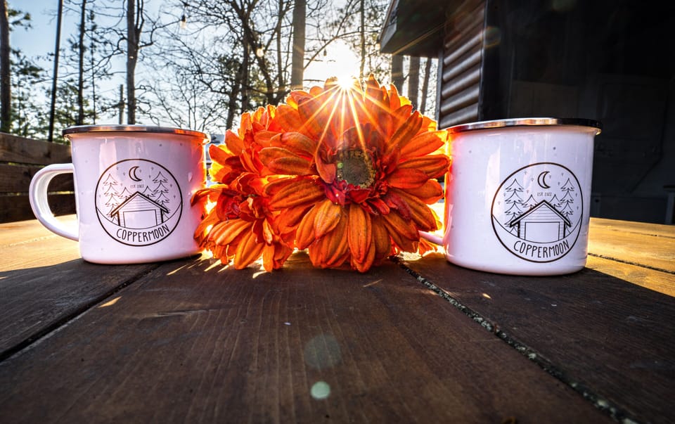 Coffee Cups - Sunburst