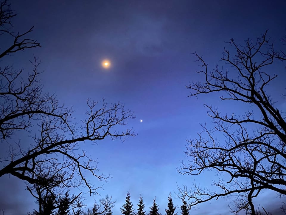 Night time scenes can range from foggy to star-filled!