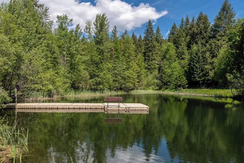 Elmers Pond- Catch and Release Fishing Pond