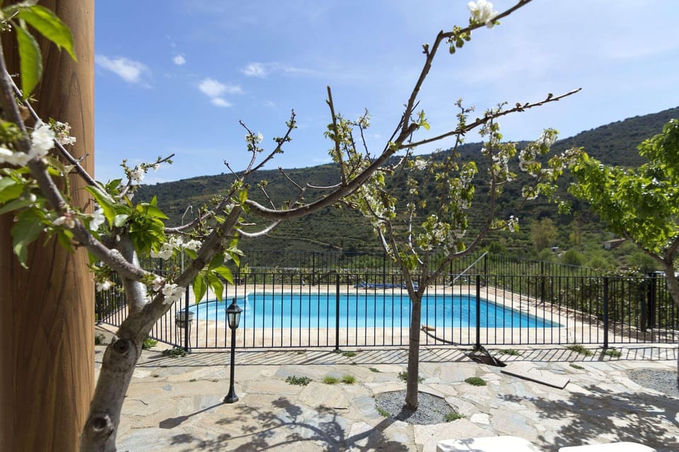 Holiday Home Swimming Pool