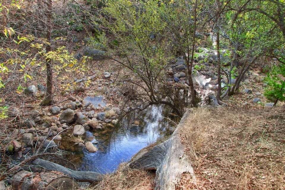 You will have access to the nearby creek pictured here; enjoy the beauty of nature.