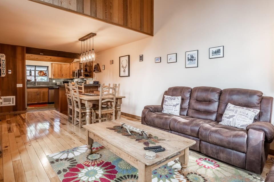 Living Room , Couch, Flat Screen TV , Fireplace- Pellet Stove