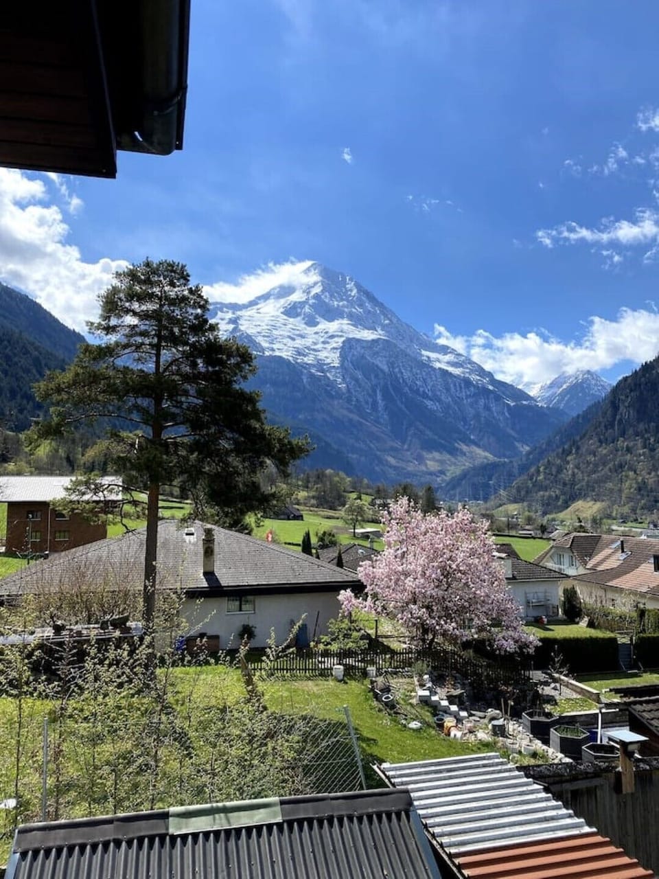 View from property
