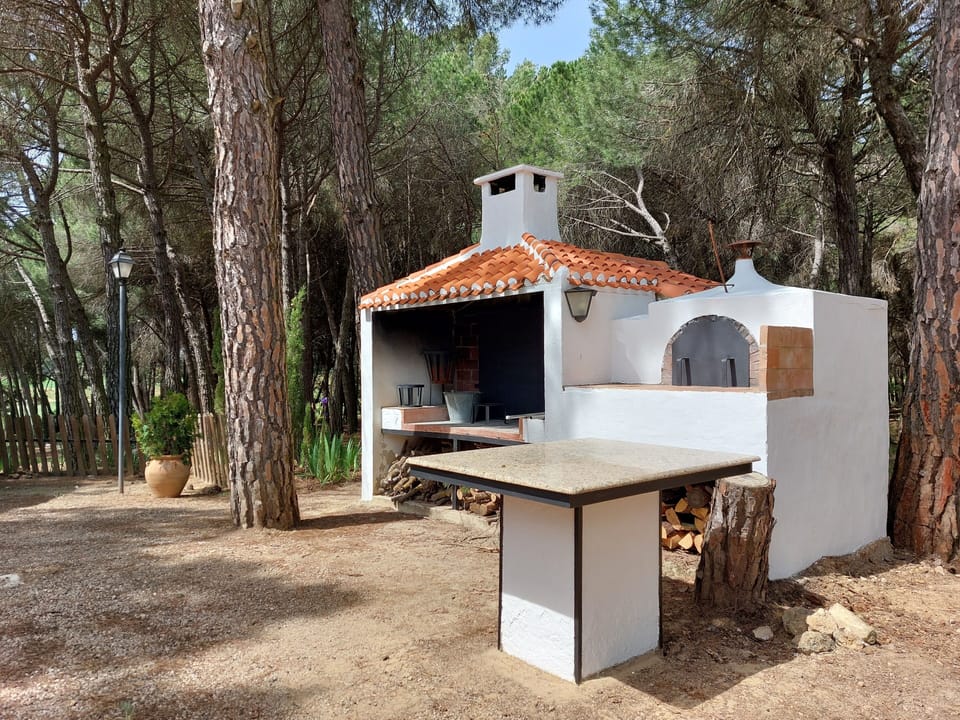 BBQ/pizza oven