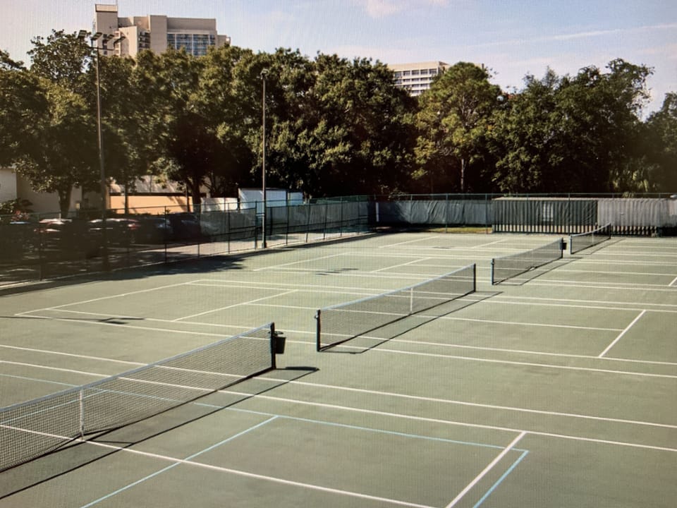 Sport court