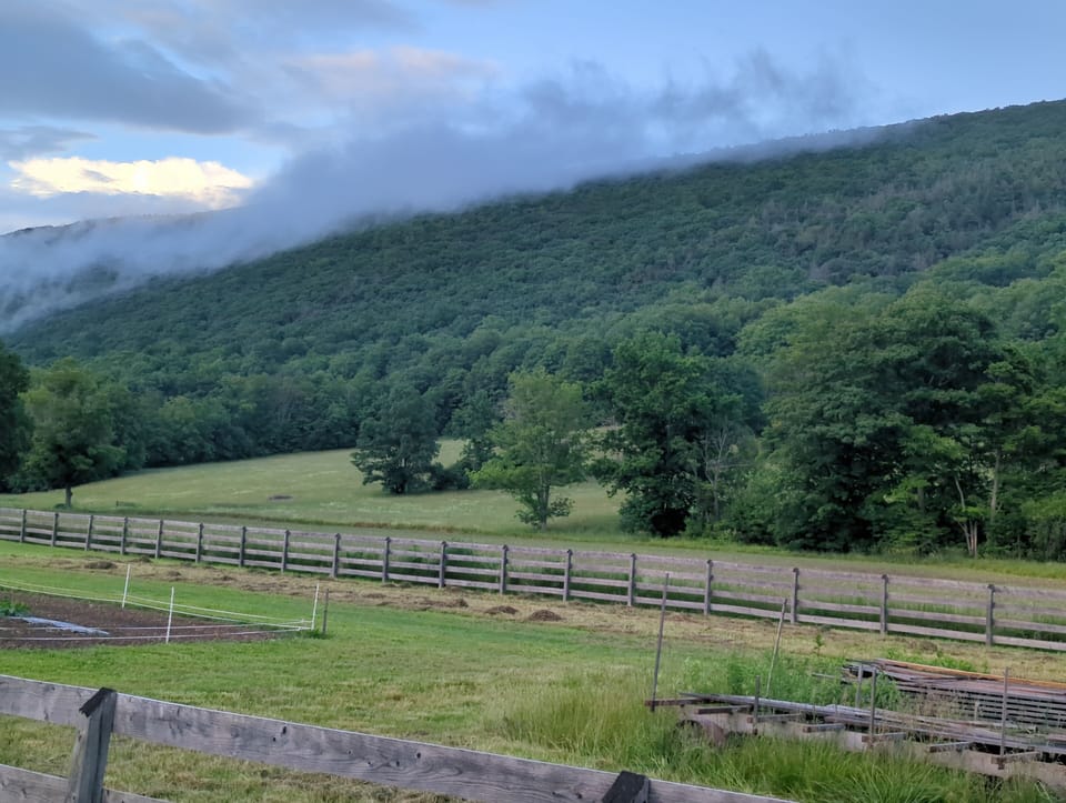 Italy, NY is situated between large wooded hills