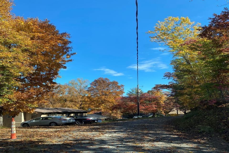 Gravel driveway leading to the cabin