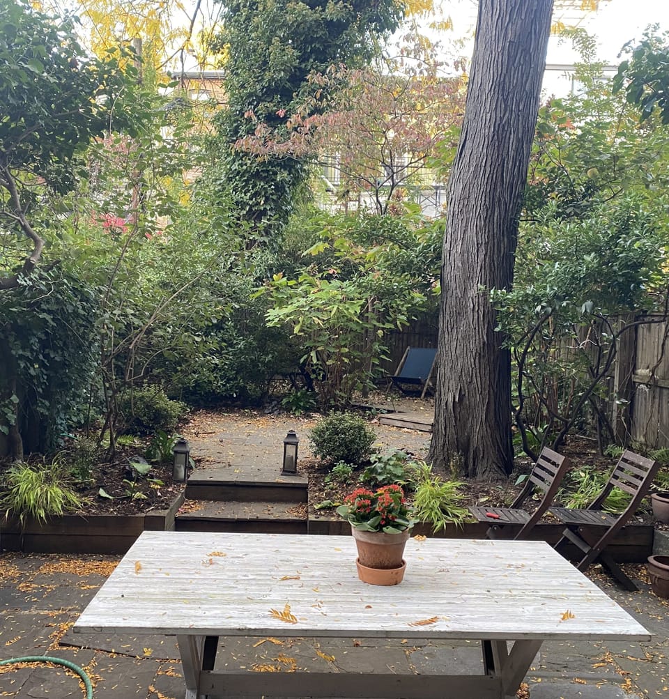 Beautiful traditional Brooklyn backyard!