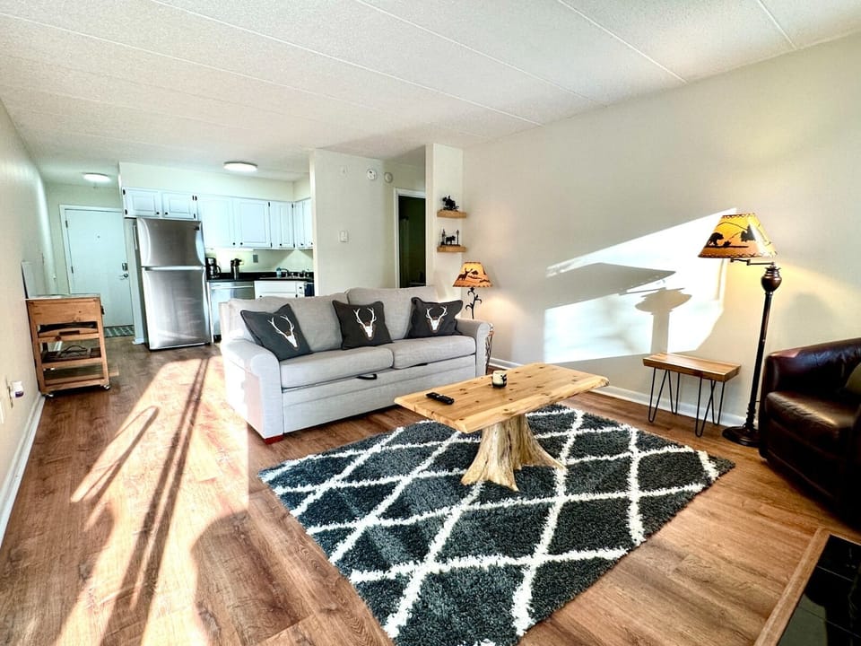 Living room and kitchen