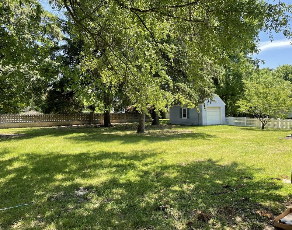 Backyard allows lots of space to play. 