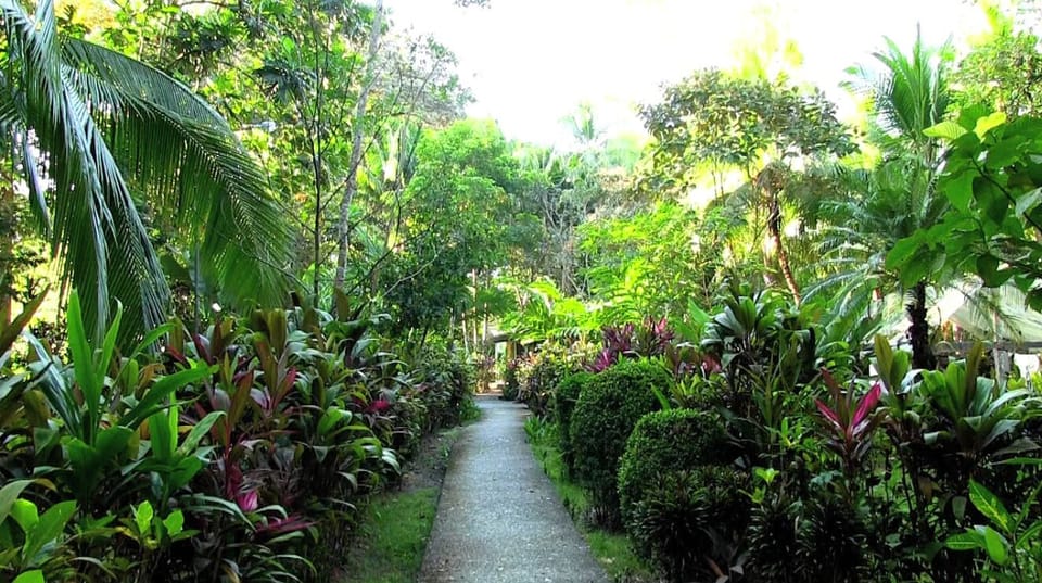 Chosa Royale internal path