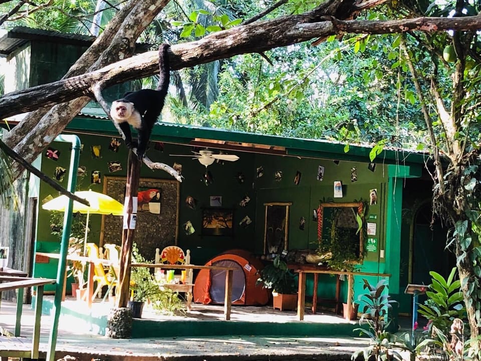 Chosa Royale Retreat and Event Center, Osa Peninsula, Puntarenas, Costa Rica