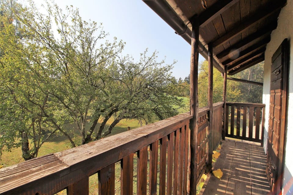 Patio / Balcony
