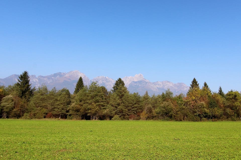 View from Holiday Home [summer]