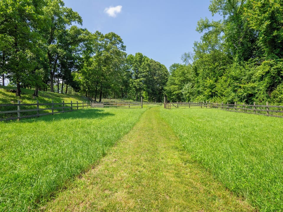Fields for walking.....