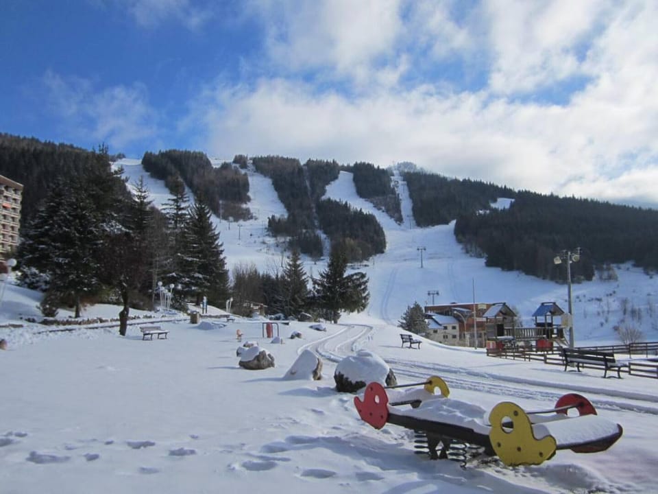 Snow and ski sports