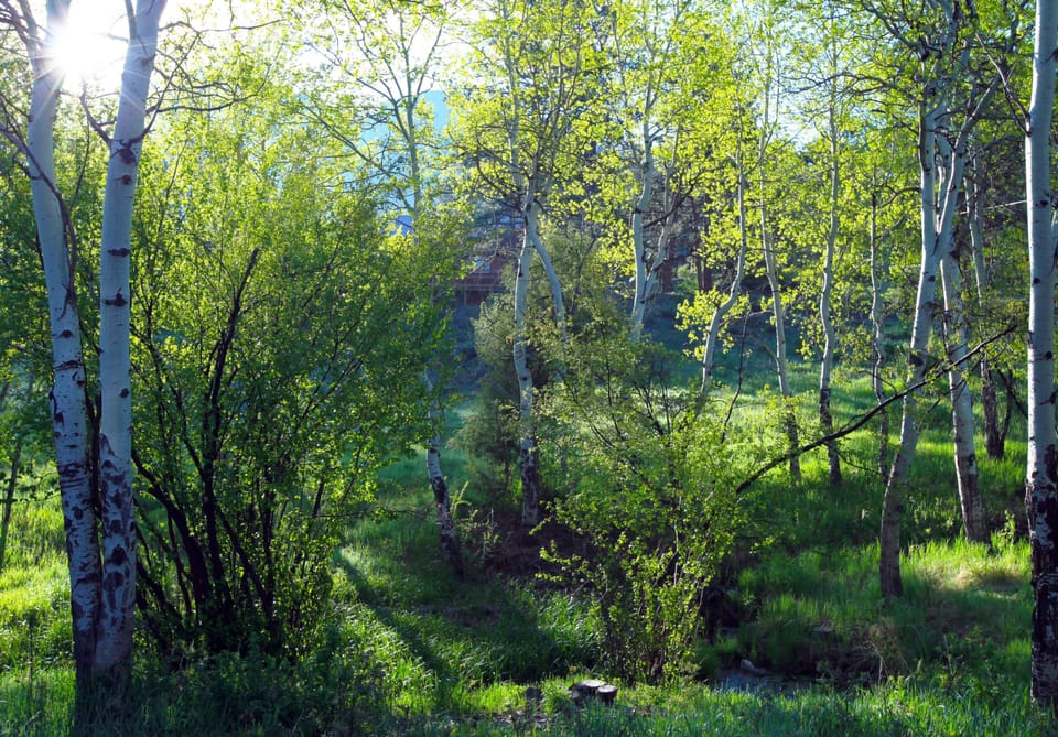 Aspens VRBO.jpg