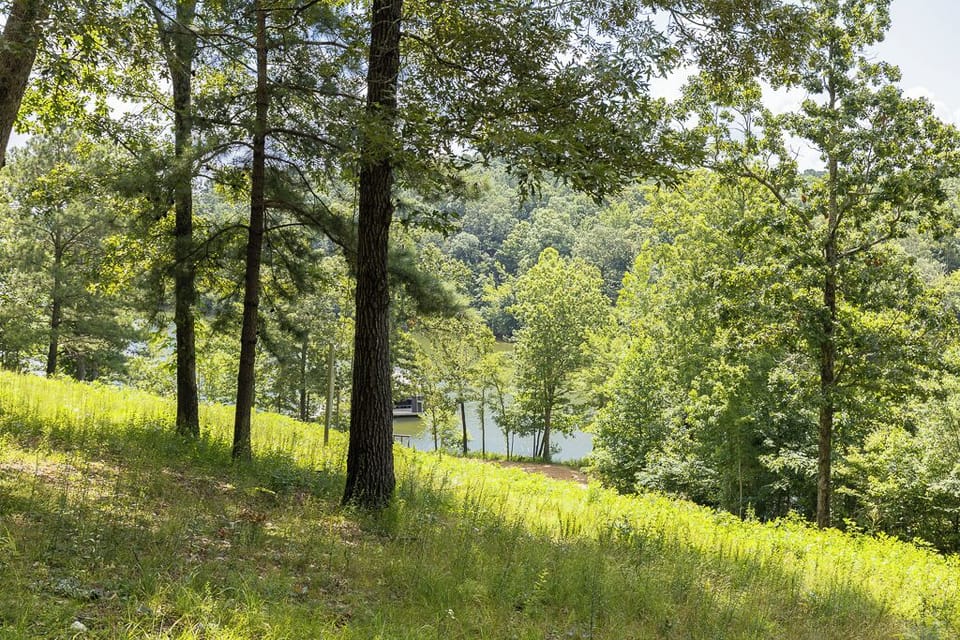 Peaceful wooded setting with lake views — a quiet escape surrounded by nature.