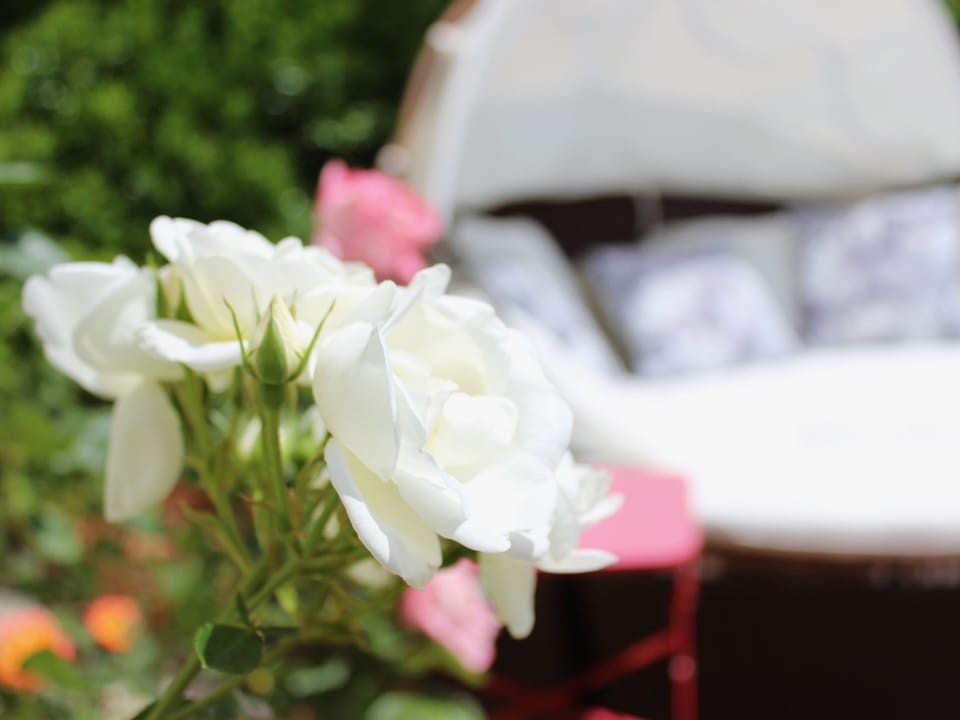 Ambiance / Close-up