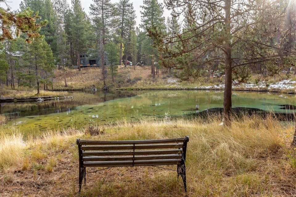 The large back yard offers great views of the Spring River