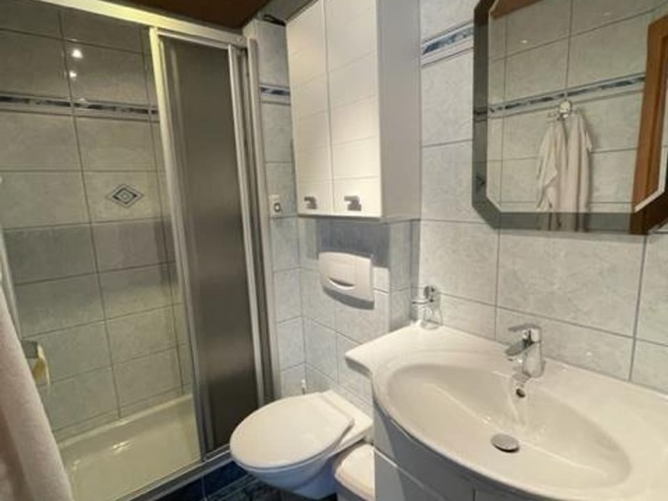 Haus Elisabeth Schwaiger - Apartment/2 bedrooms/shower, toilet Apartment in Maria Alm