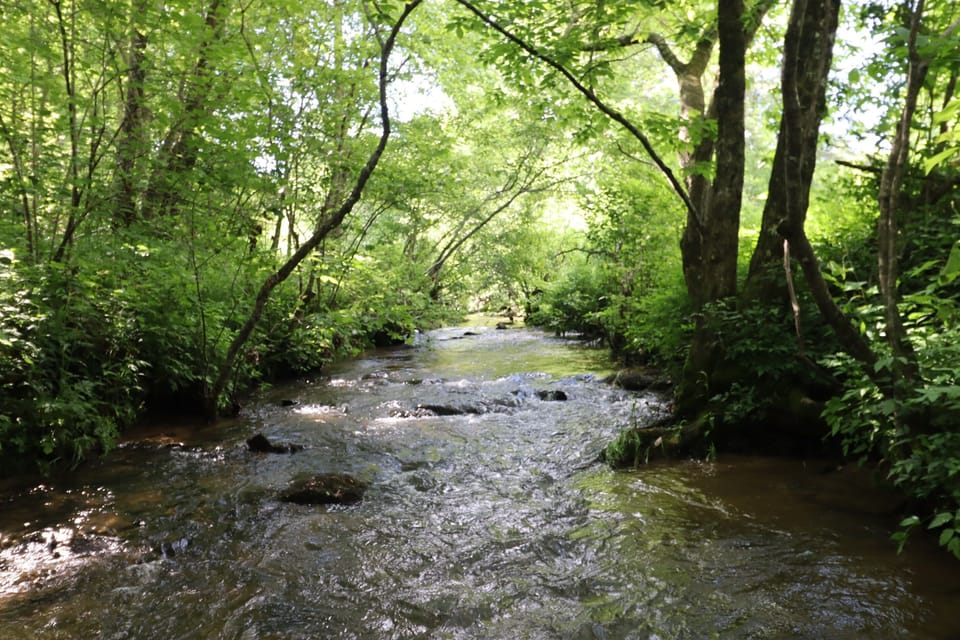 over half a mile of creek to fish or explore