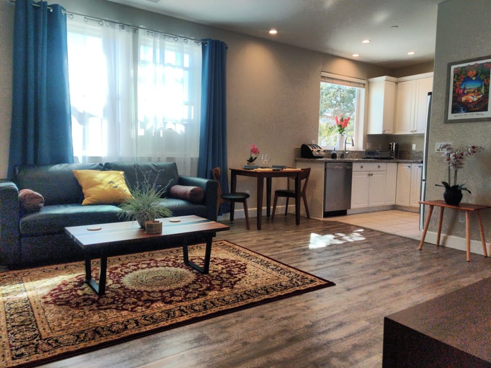 Sun filled flat with high speed fiber optic internet accessed via wifi, flat screen TV, laundry, and private patio