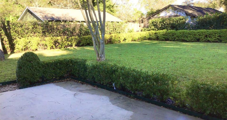 backyard